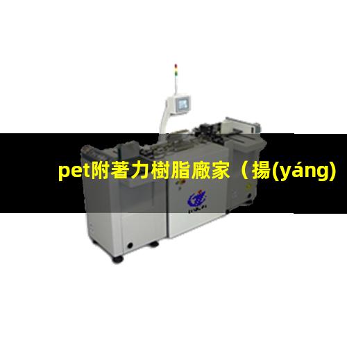 pet附著力樹脂廠家