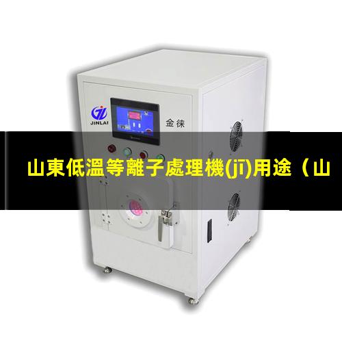 山東低溫等離子處理機(jī)用途