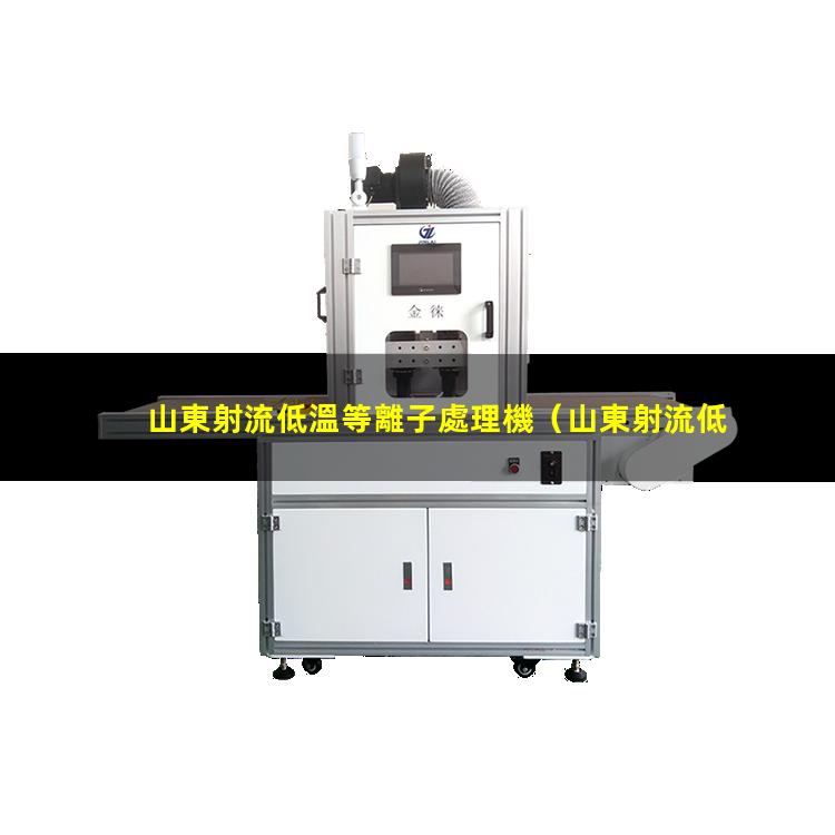 山東射流低溫等離子處理機