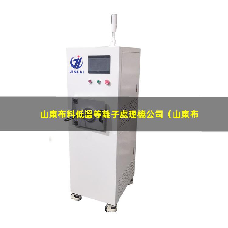 山東布料低溫等離子處理機公司