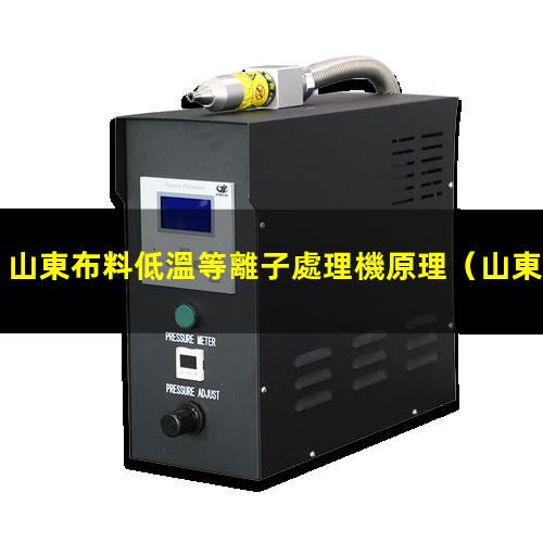 山東布料低溫等離子處理機原理