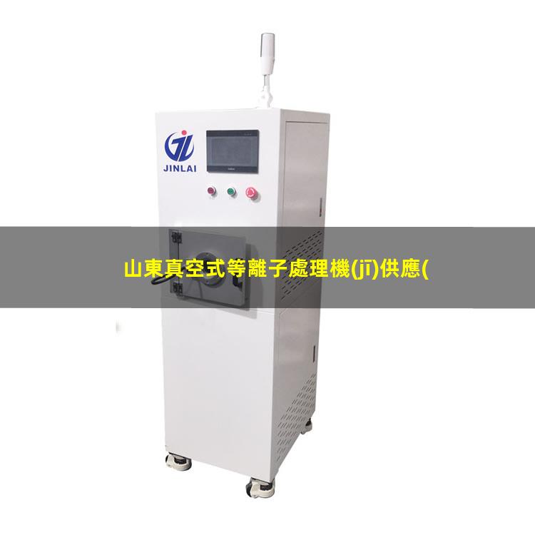 山東真空式等離子處理機(jī)供應(yīng)