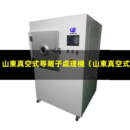 山東真空式等離子處理機