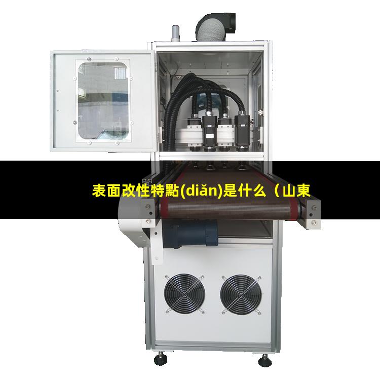 表面改性特點(diǎn)是什么