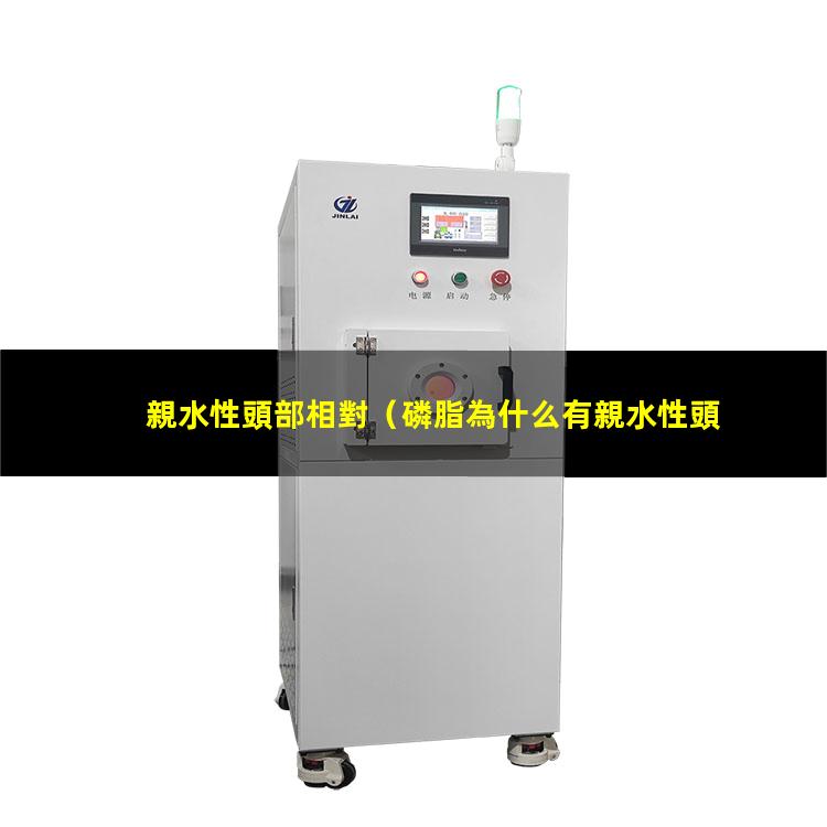 親水性頭部相對
