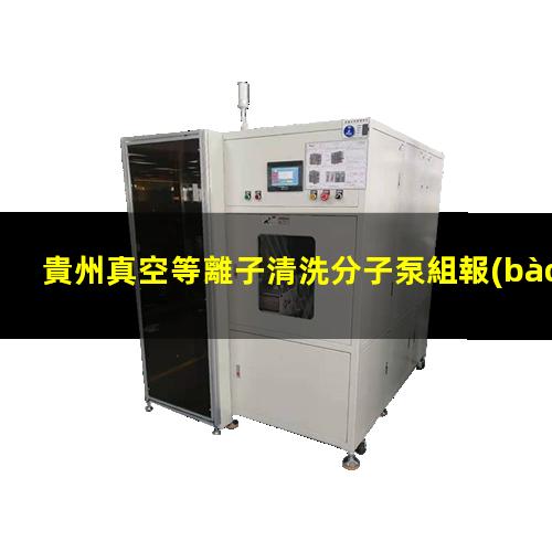 貴州真空等離子清洗分子泵組報(bào)價(jià)