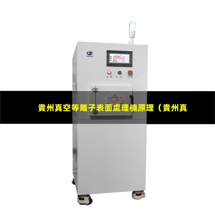 貴州真空等離子表面處理機原理