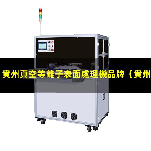 貴州真空等離子表面處理機品牌
