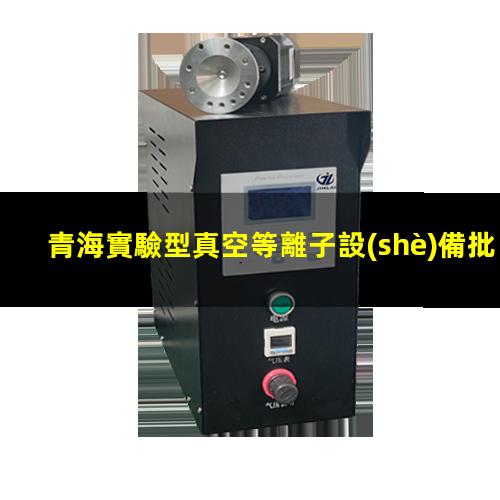 青海實驗型真空等離子設(shè)備批發(fā)