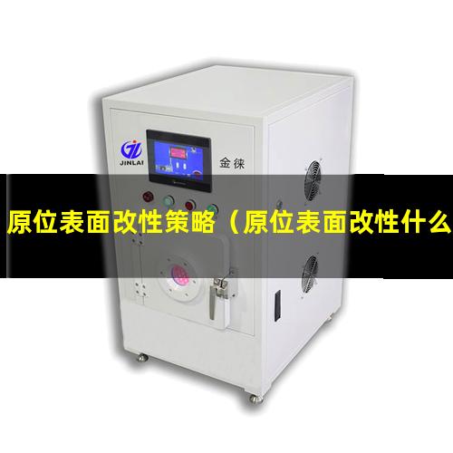 原位表面改性策略