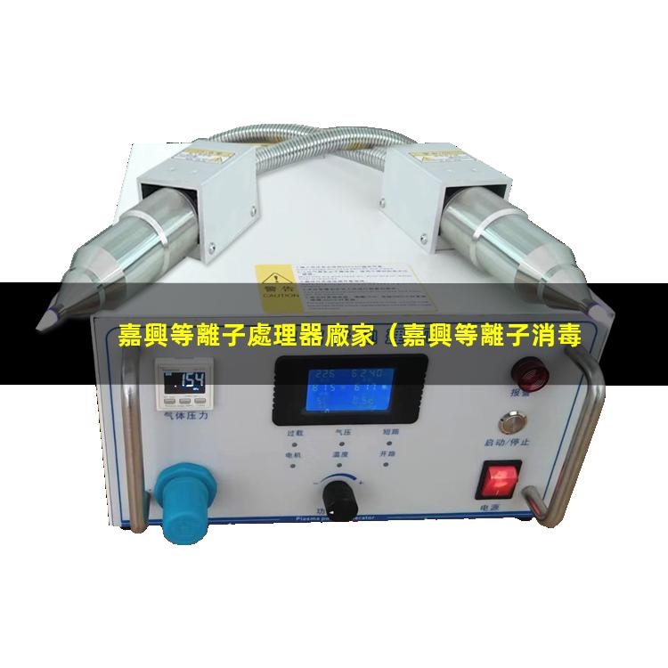 嘉興等離子處理器廠家