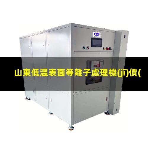 山東低溫表面等離子處理機(jī)價(jià)格