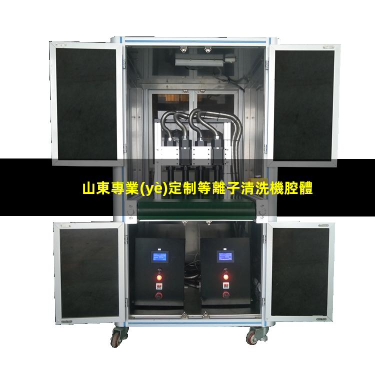 山東專業(yè)定制等離子清洗機腔體量大從優(yōu)