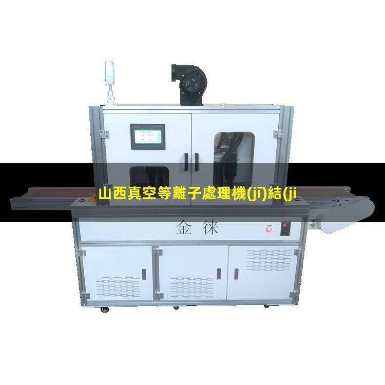 山西真空等離子處理機(jī)結(jié)構(gòu)