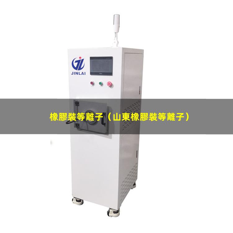 橡膠裝等離子