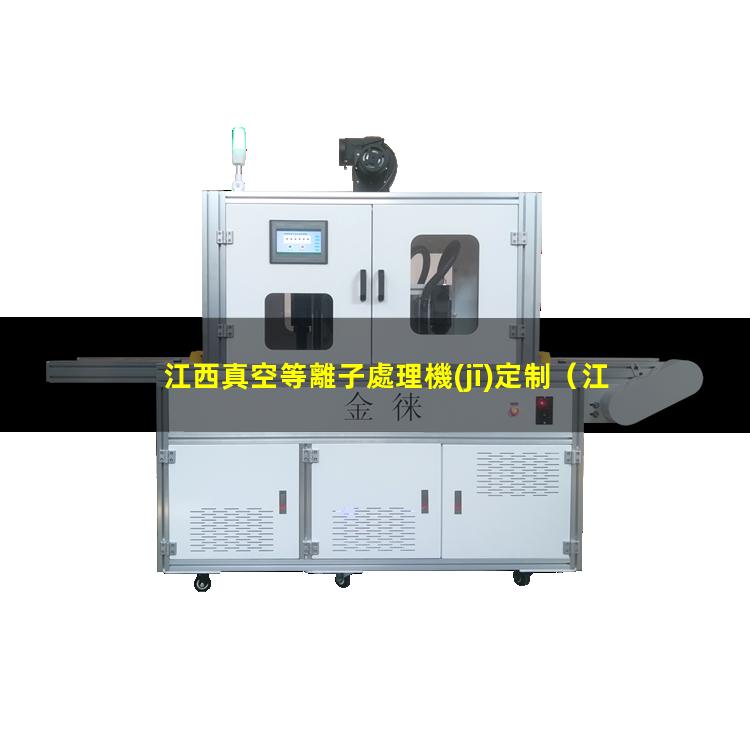 江西真空等離子處理機(jī)定制