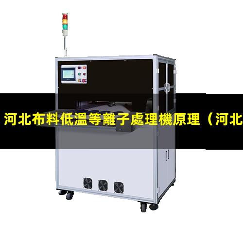 河北布料低溫等離子處理機原理