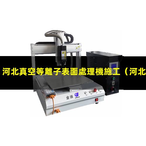 河北真空等離子表面處理機施工