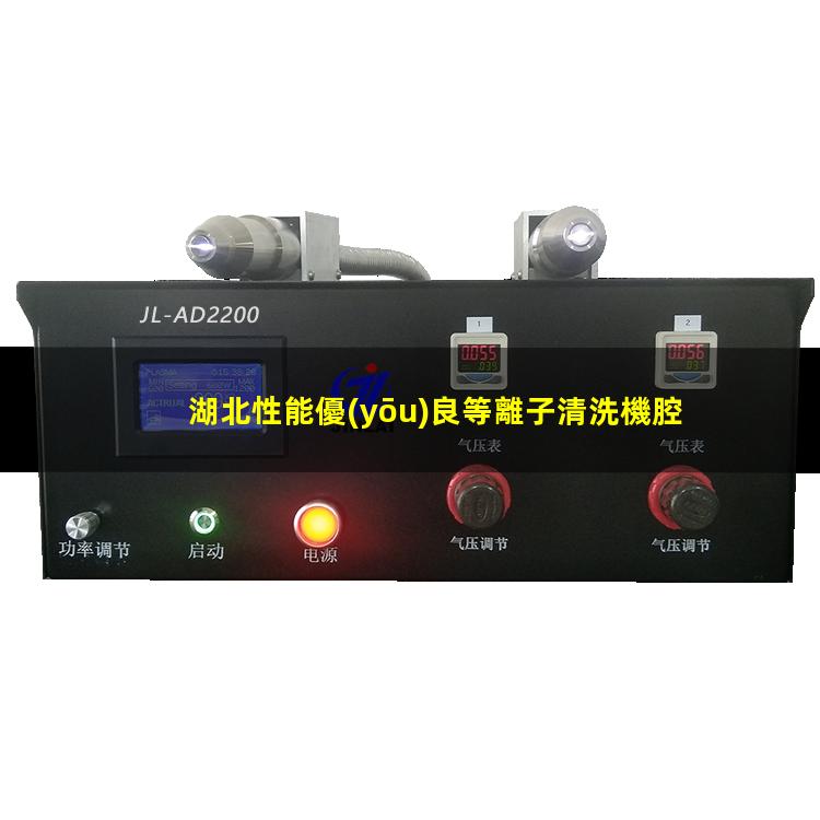 湖北性能優(yōu)良等離子清洗機腔體便宜