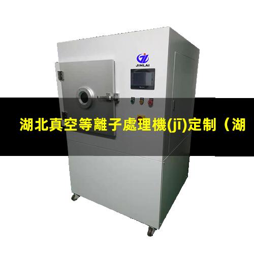 湖北真空等離子處理機(jī)定制