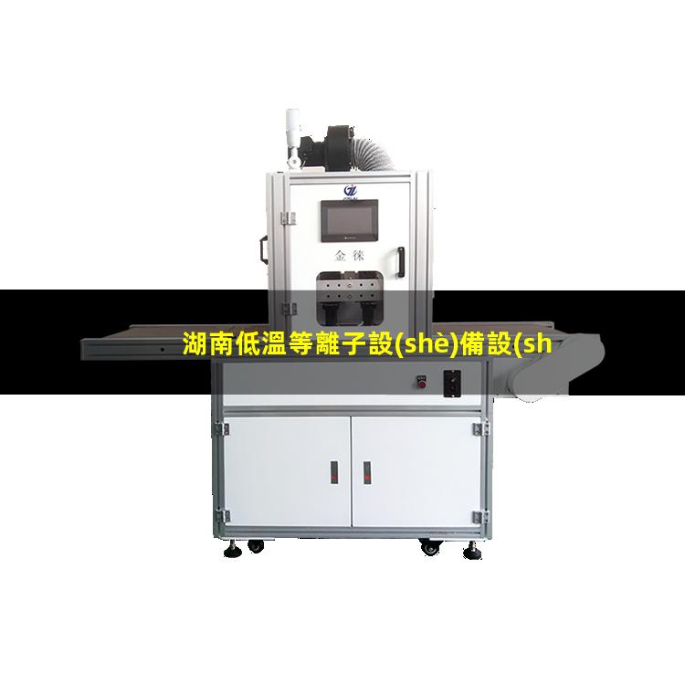 湖南低溫等離子設(shè)備設(shè)備