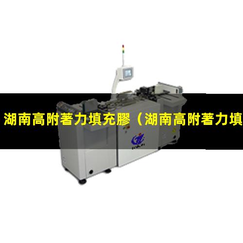 湖南高附著力填充膠