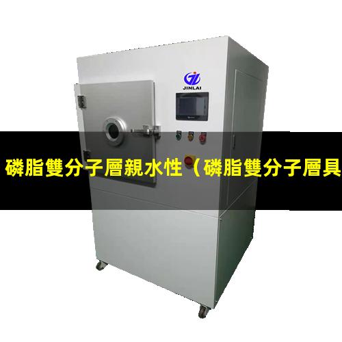 磷脂雙分子層親水性