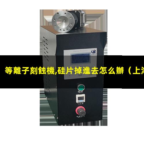 等離子刻蝕機,硅片掉進去怎么辦