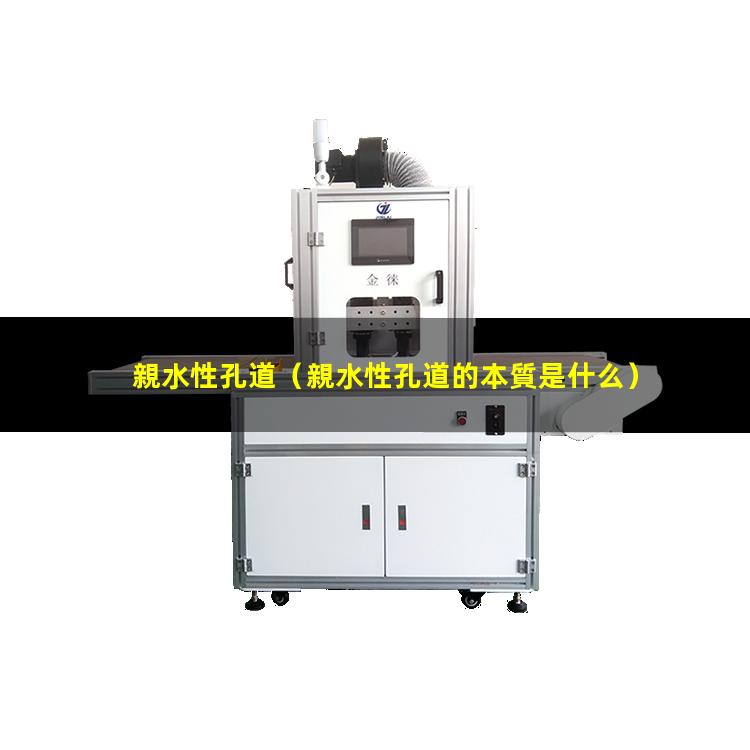 親水性孔道