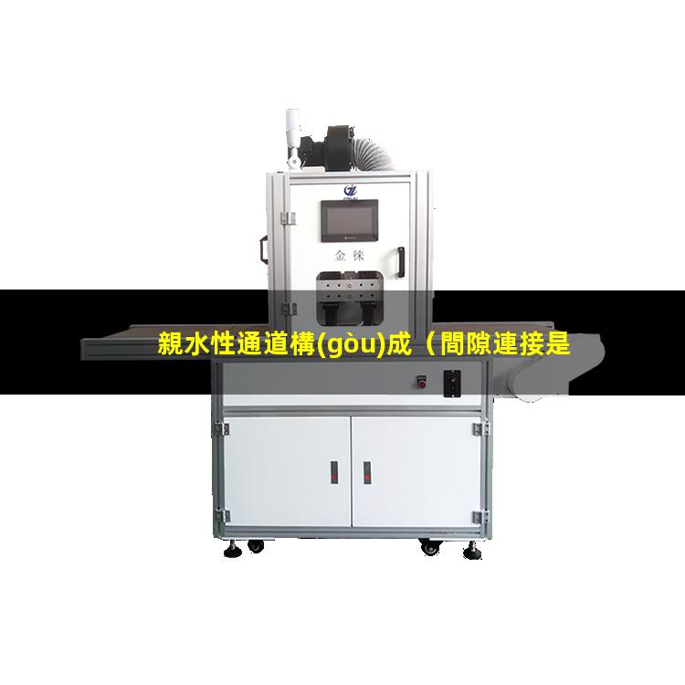 親水性通道構(gòu)成