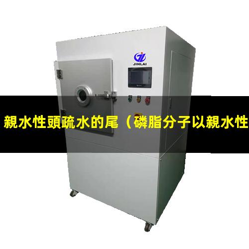 親水性頭疏水的尾