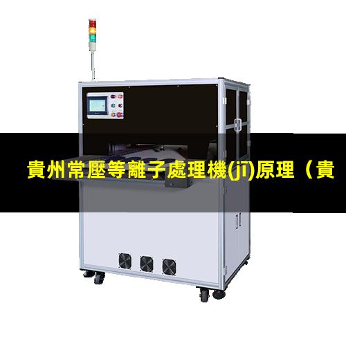 貴州常壓等離子處理機(jī)原理
