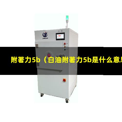 附著力5b