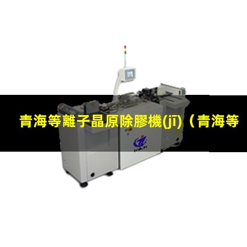 青海等離子晶原除膠機(jī)